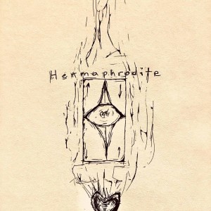 #05 - Hermaphrodite