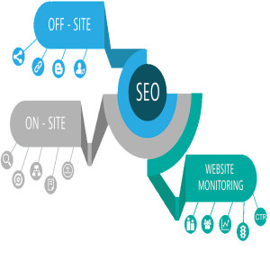 Choose the right SEO plan with affordable pricing and satisfy your needs