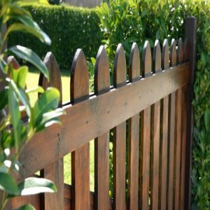 Fencing Lanarkshire at Competitive Prices