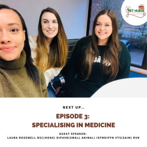 Episode 3: Specialising in medicine as an RVN