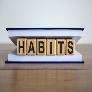 Leadership Habits - Stuart Ellis AM 'Influence Me' Leadership Podcast 17