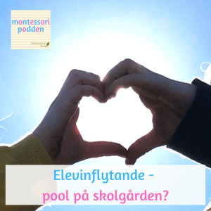 Elevinflytande - pool på skolgården?