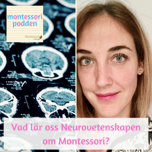 Vad lär oss neurovetenskapen om Montessori?