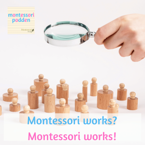 Montessori works!