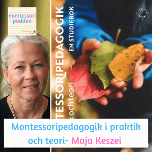 Montessoripedagogik i praktik och teori- Maja Keszei