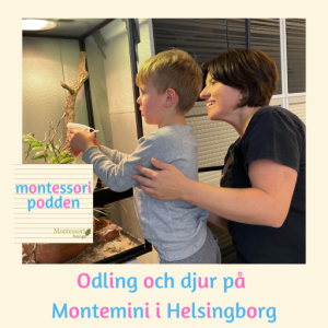 Odling och djur på Montemini i Helsingborg