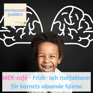 ”Frisk och riskfaktorer för barnets växande hjärna” - MER-café