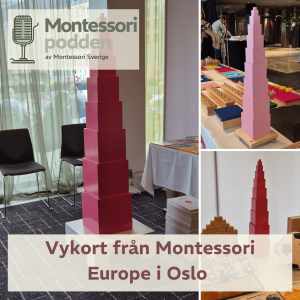 Vykort från Montessori Europe i Oslo