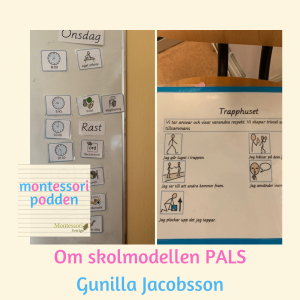 Skolmodellen PALS på Montessori?