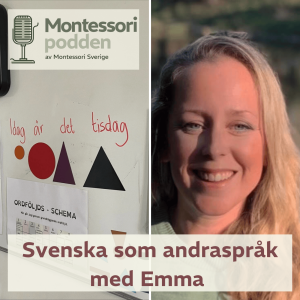Svenska som andraspråk