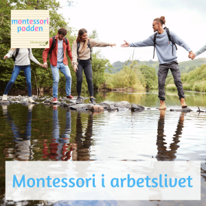 Montessori i arbetslivet