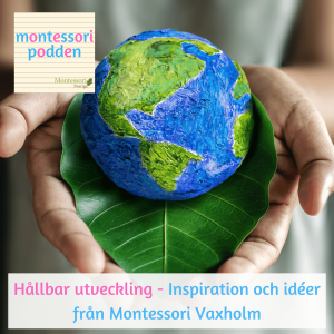 Hållbar utveckling -Inspiration och idéer från Montessori Vaxholm