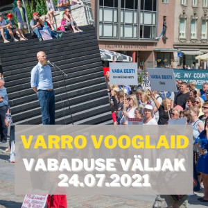 Varro Vooglaid 24.07 Vabaduse väljakul: protestimisest üksi ei aita, on kohtulahingute aeg