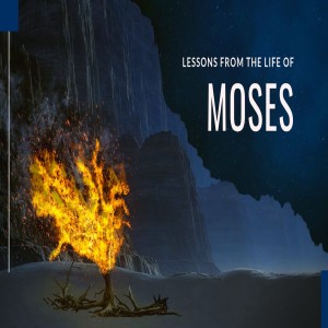 Lessons From the Life of Moses