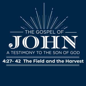 John 4:27-42 ”The Field and the Harvest”