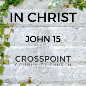 In Christ: Abide & Bear Witness