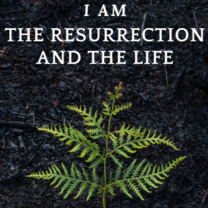 I am the Resurrection and the Life pt 3