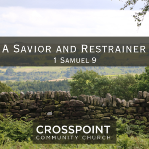 A Savior and Restrainer