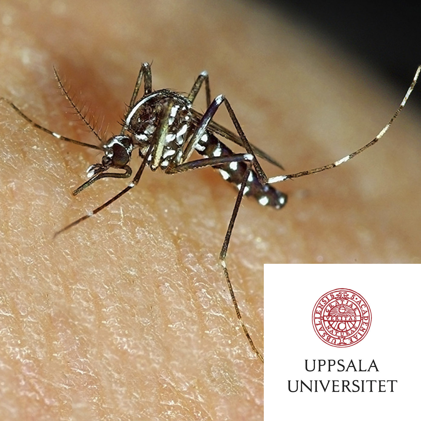 Forskarpodden  – en podd från Uppsala universitet