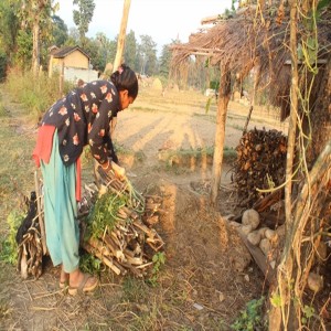 ‘Olemme rukoilleet lakkaamatta ja tämä oli rukousvastaus’ - Kuinka Bhumika perheineen pysyy hengissä Nepalissa vainon keskellä