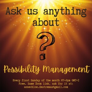 Ask Us Anything (about Possibility Management) #2 (8 Jan 2023)