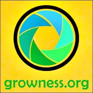 Grow-ness replaces Busi-ness - how to make the shift?