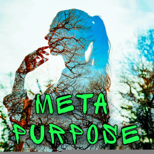 Meta Purpose Part 02 (Clinton Callahan 2001)