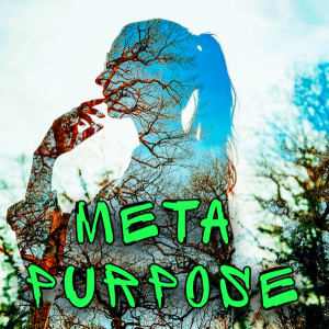 Meta Purpose Part 01 (Clinton Callahan 2001)