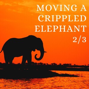 Moving A Crippled Elephant (2/3) Clinton Callahan (cir. 2000)