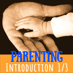 Parenting Introduction Part 1/3 (Clinton Callahan 2002)