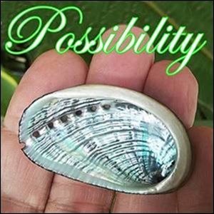 What Is Possibility Right Now? - Part 2 - Clinton Callahan (circa 2000)