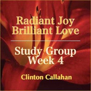 Radiant Joy Brilliant Love - Study Group Week 4 with Clinton Callahan