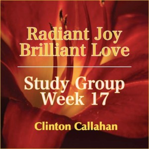 Radiant Joy Brilliant Love - Study Group Week 17 with Clinton Callahan