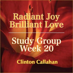 Radiant Joy Brilliant Love - Study Group Week 20 with Clinton Callahan