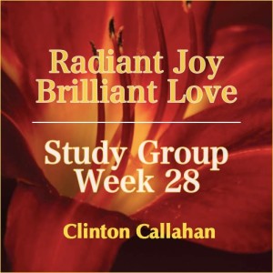 Radiant Joy Brilliant Love - Study Group Week 28 with Clinton Callahan