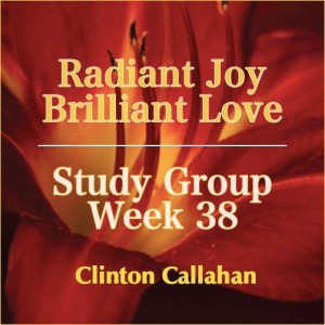 Radiant Joy Brilliant Love: Week 38