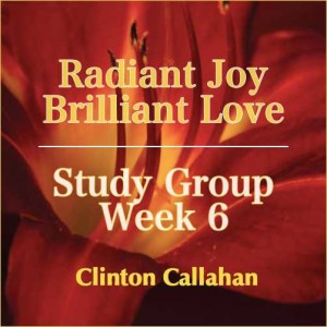 Radiant Joy Brilliant Love - Study Group Week 6 with Clinton Callahan