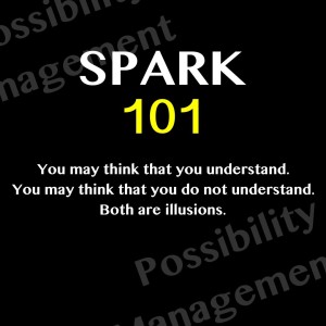 You may think that you understand. You may think that you do not understand. Both are illusions. (SPARK 101)