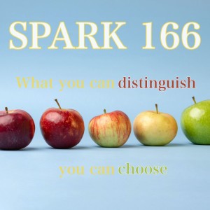 What You Can Distinguish You Can Choose (SPARK 166)