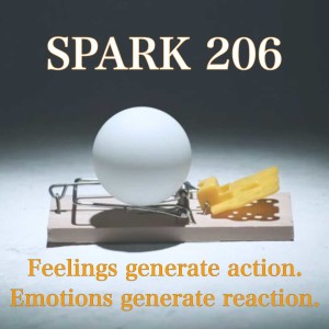 SPARK 206 explored by the Weekly SPARK Experimenters