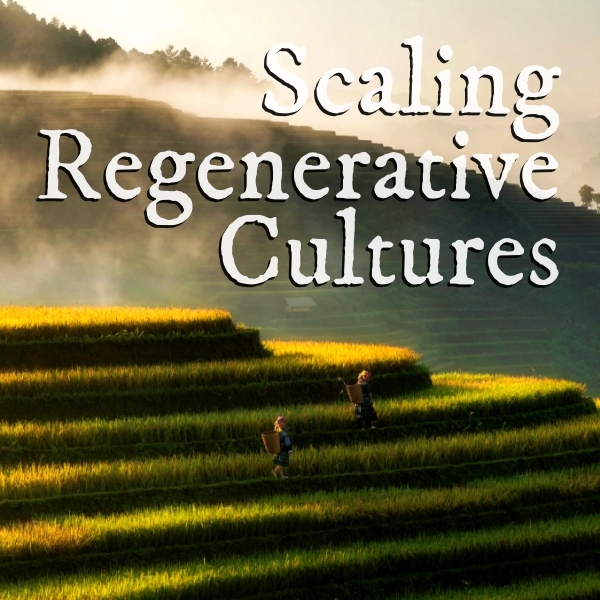 Next Culture Radio