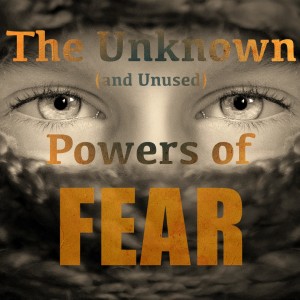 The Unknown Powers of Fear with Anne-Chloé Destremau