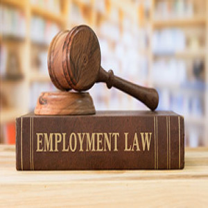 New York Employment Lawyer Podcast Series Part 8 F Bombs and Employment Law