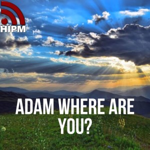 Adam Where are You?