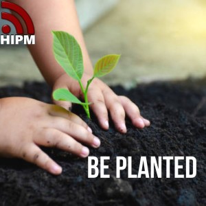 Be Planted