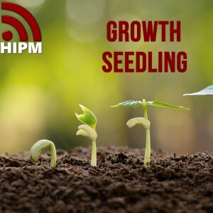 Growth Seedling