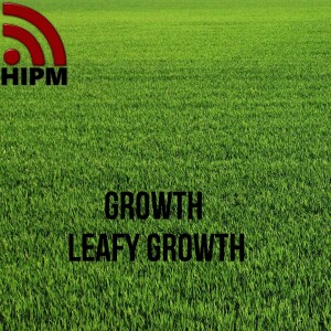 Growth | Leafy Growth