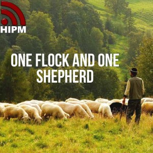 One Flock and One Shepherd