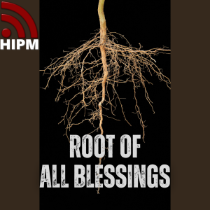 Root of all Blessings