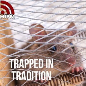 Trapped in Tradition